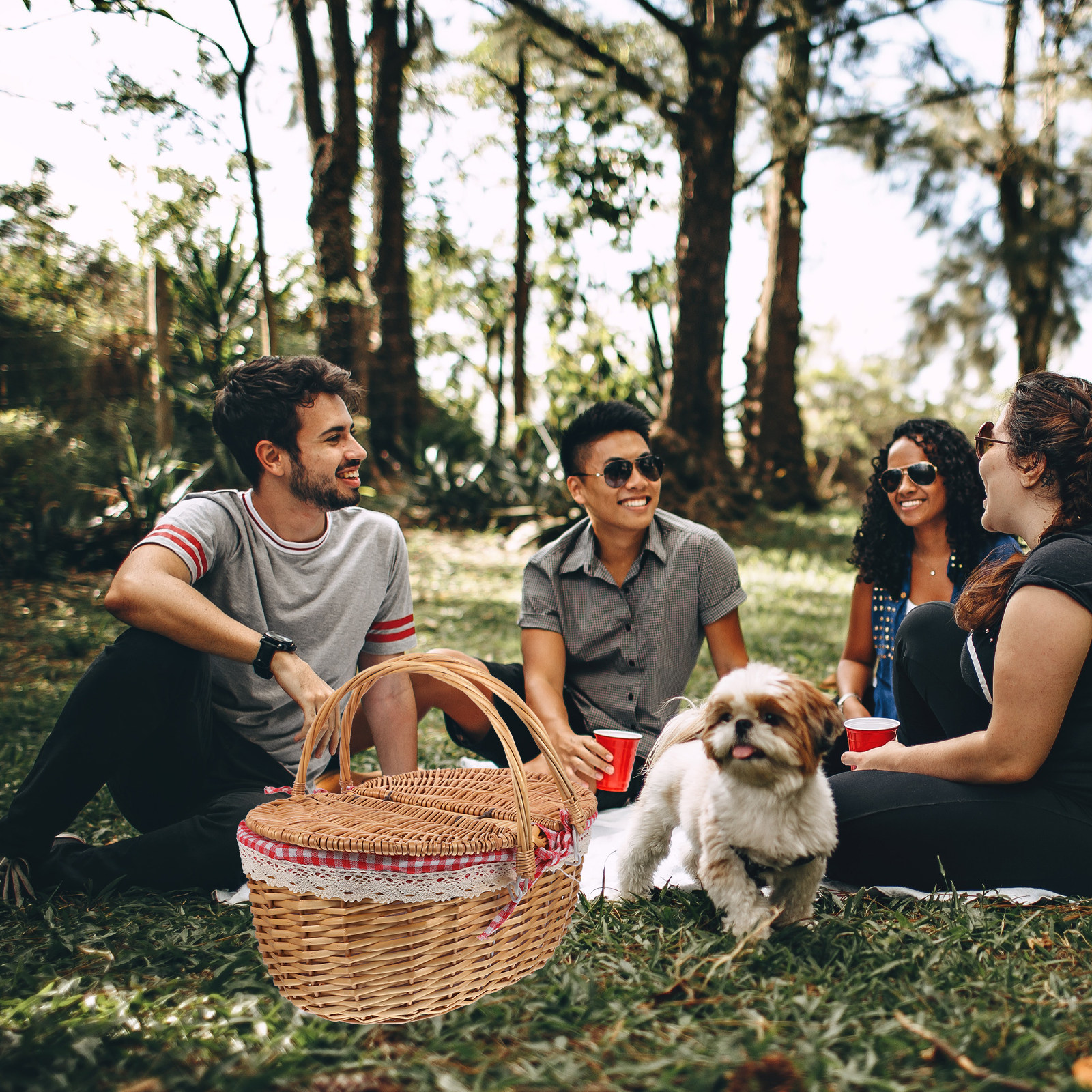 Outdoor Camping Ideas - Handwoven Wicker Picnic Basket Rustic Woven