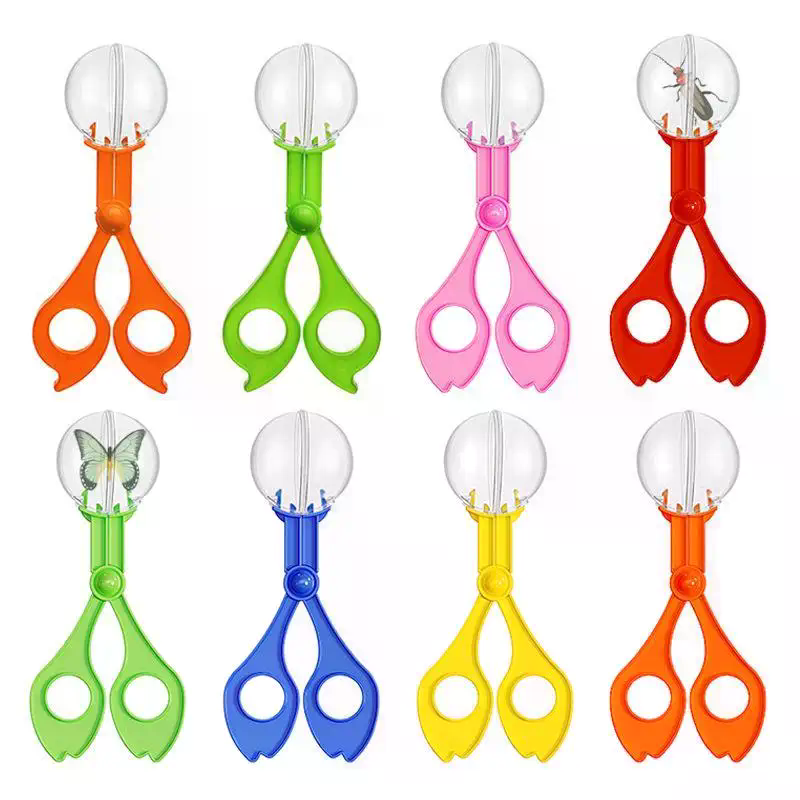 Educational Bug Catcher Scisso - Outdoor Camping Kids Activities ulasan dan harga