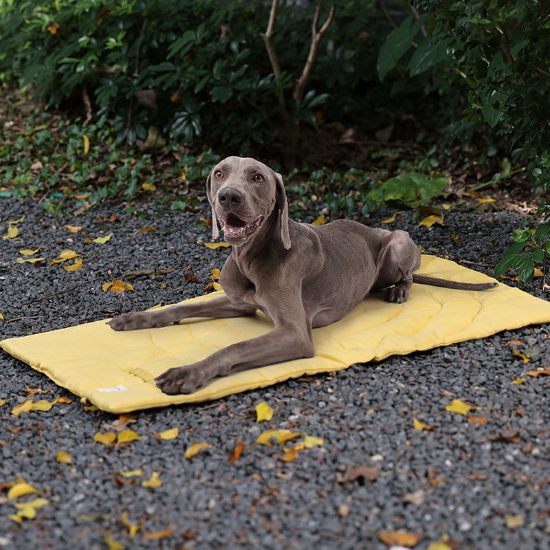Portable Pet Mat Foldable Pet  - Outdoor Camping Quilt ulasan dan harga
